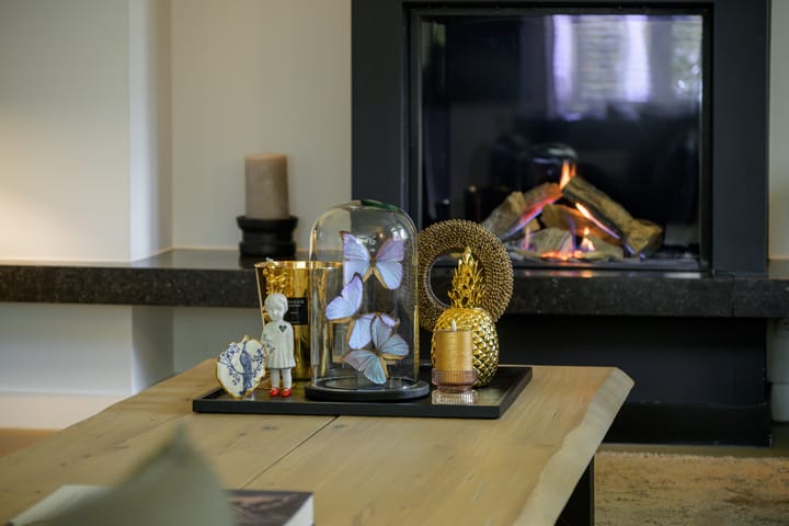 Foto 24 van Franklin Rooseveltlaan 47