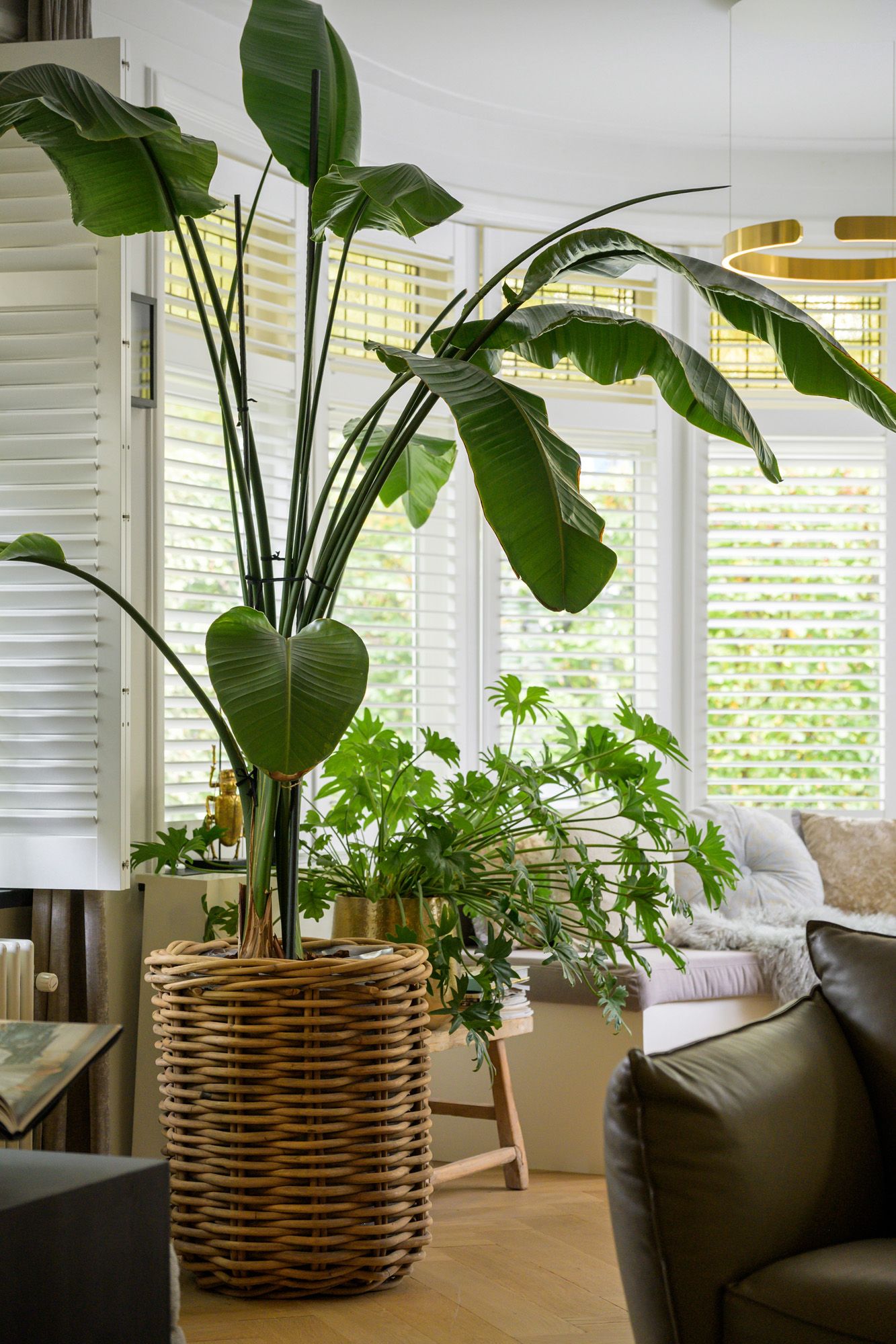 Foto 30 van Franklin Rooseveltlaan 47