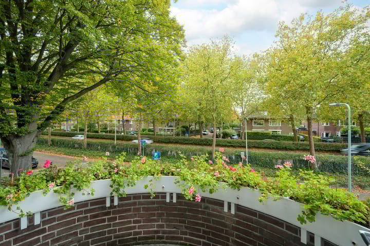 Foto 60 van Franklin Rooseveltlaan 47