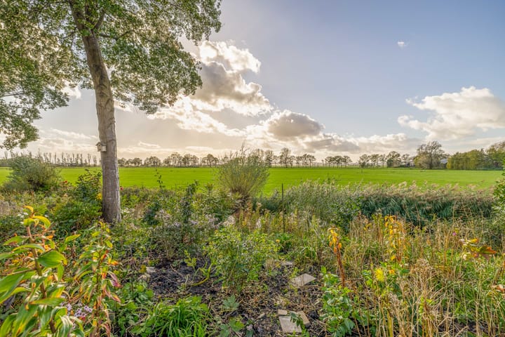 Foto 38 van Nienke van Hichtumstraat 28