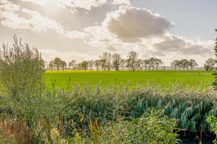 Foto 39 van Nienke van Hichtumstraat 28