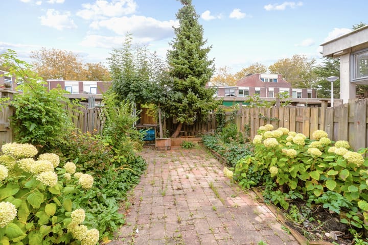 Foto 14 van Pijlstaartpad 35