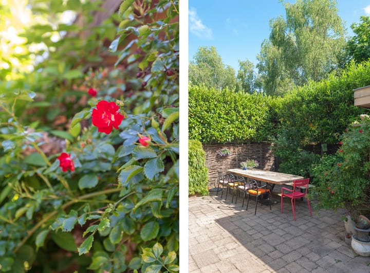 Photo 59 of Van Hogendorpstraat 47