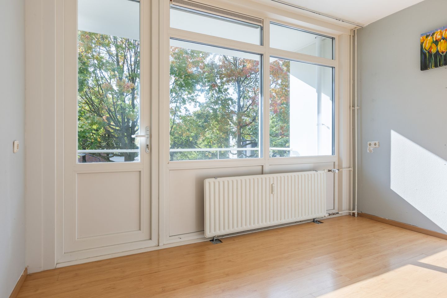 Foto 14 van Luxemburgsestraat 8