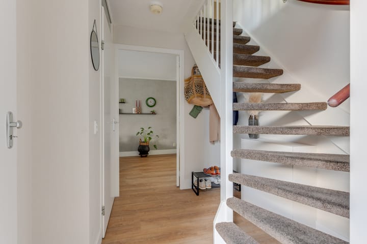 Foto 6 van Dorsvlegel 21