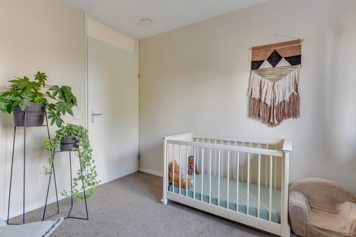 Foto 28 van Dorsvlegel 21