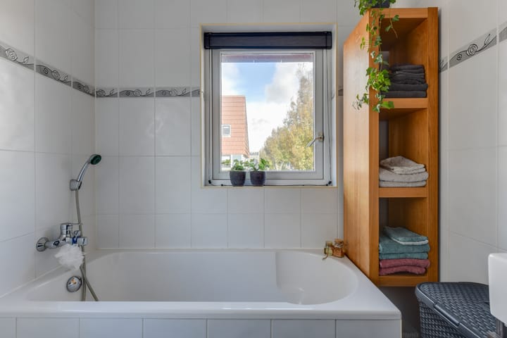 Foto 30 van Dorsvlegel 21