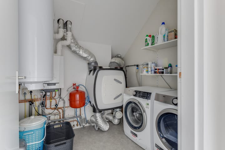 Foto 42 van Dorsvlegel 21