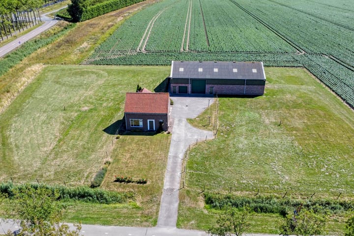 Foto 4 van Langeweg 101