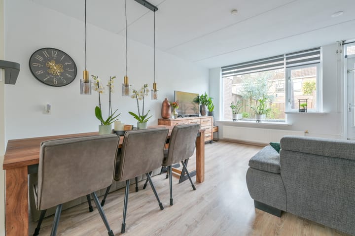 Foto 5 van Lange Meer 18