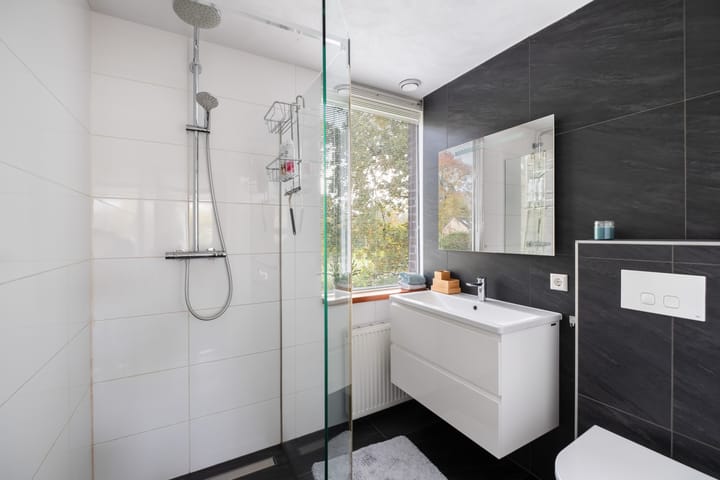 Photo 4 of Hondsdraf 7