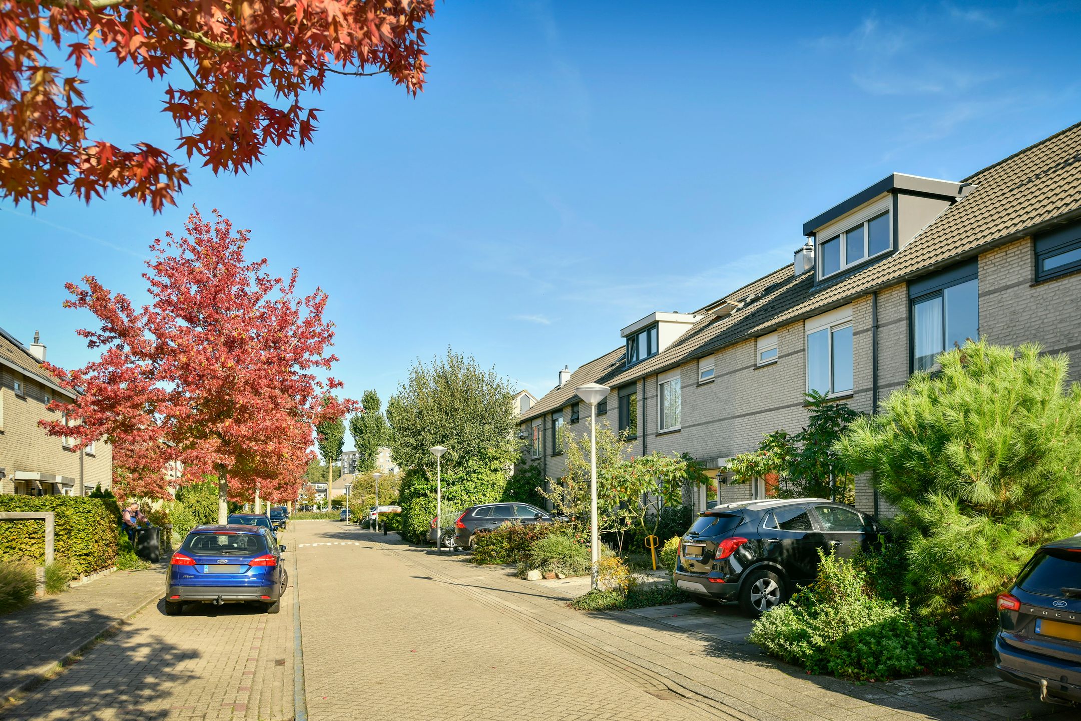 Foto 21 van Gravenland 44