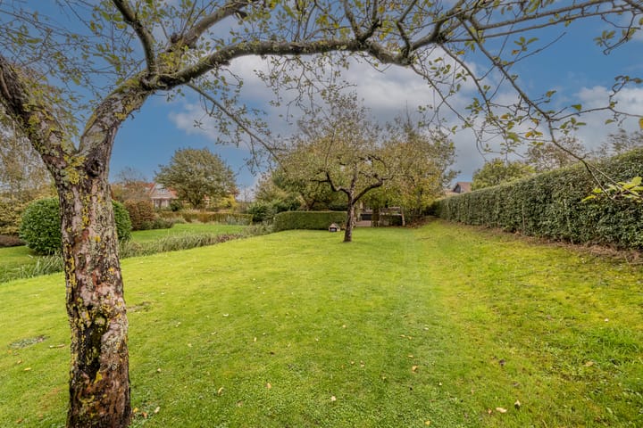 Photo 71 of Zwanegatsedijk 10