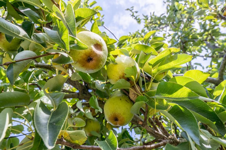 Photo 7 of De Soel 3