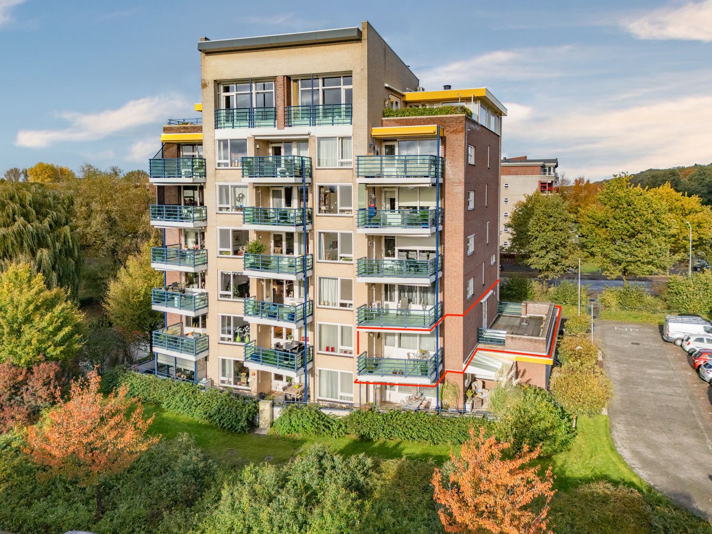 Foto 1 van Veldzuring 61