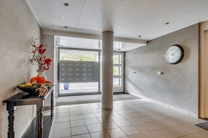 Foto 5 van Veldzuring 61