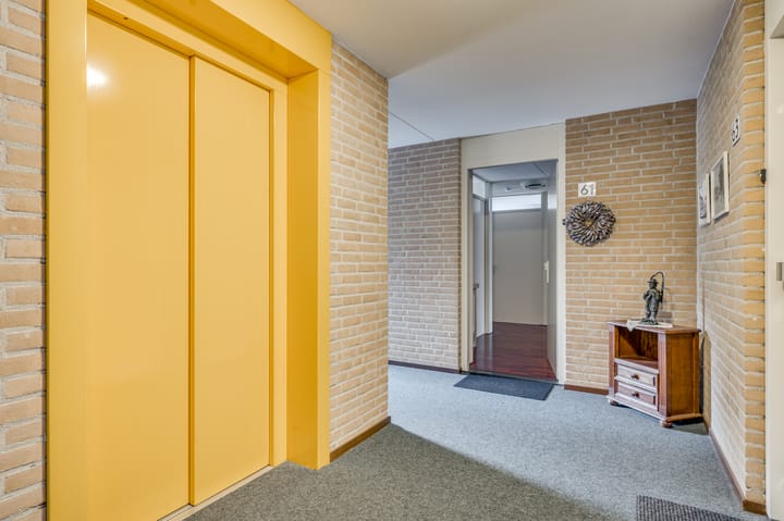 Foto 7 van Veldzuring 61