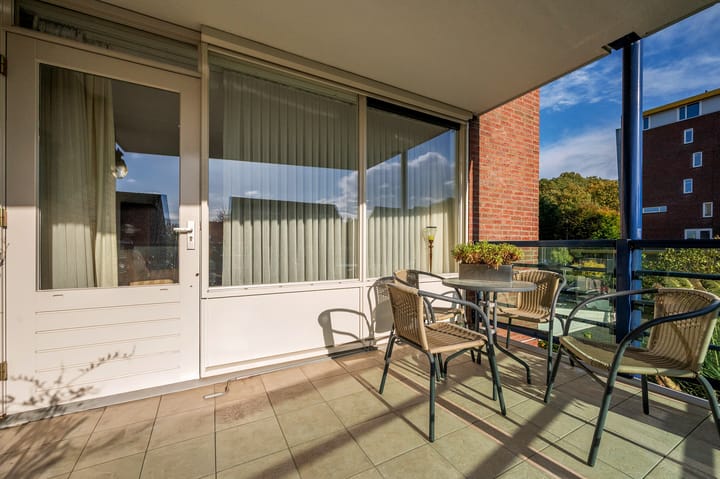 Foto 13 van Veldzuring 61