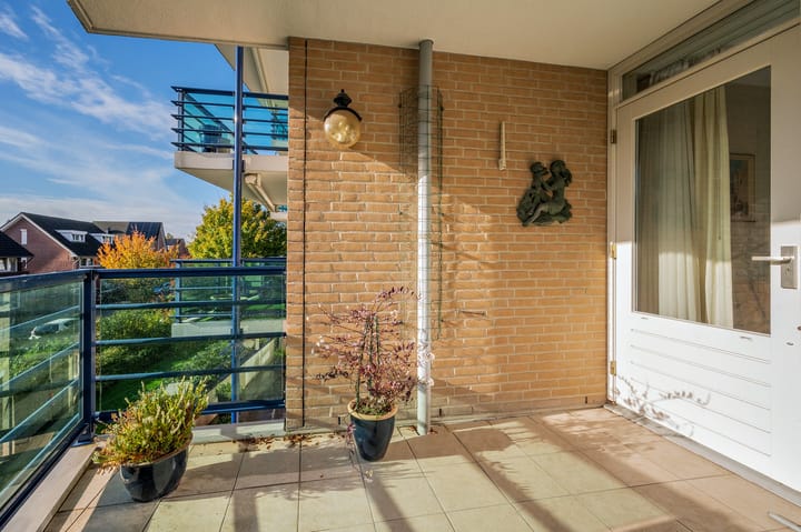 Foto 14 van Veldzuring 61