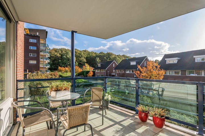 Foto 15 van Veldzuring 61