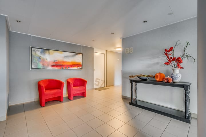 Foto 6 van Veldzuring 61