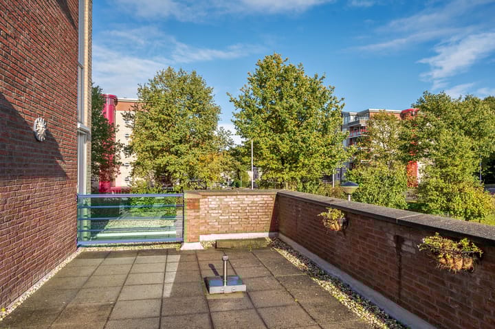 Foto 23 van Veldzuring 61