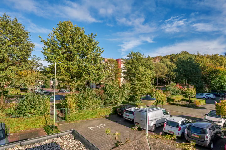 Foto 24 van Veldzuring 61