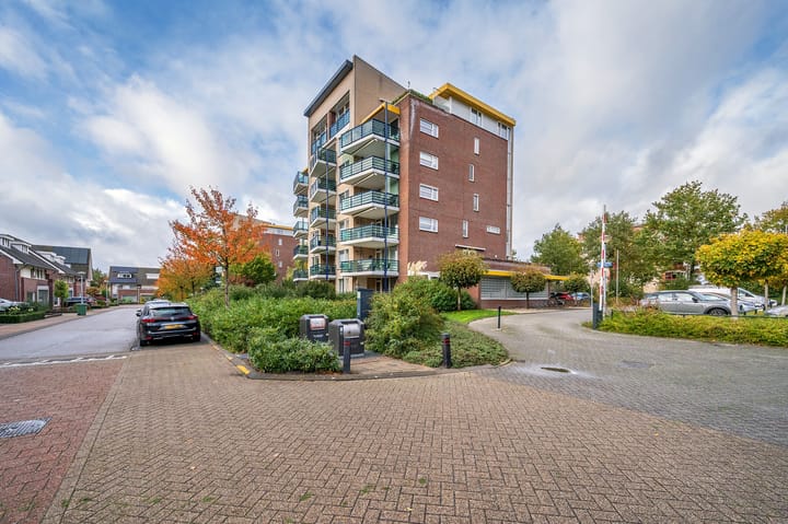 Foto 32 van Veldzuring 61