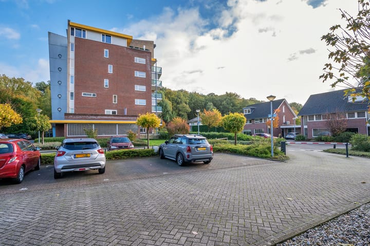 Foto 34 van Veldzuring 61