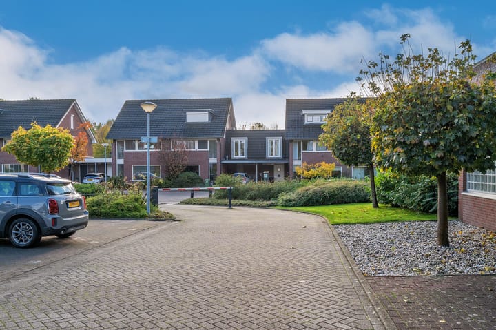 Foto 35 van Veldzuring 61