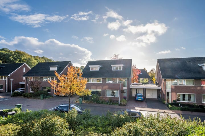 Foto 17 van Veldzuring 61