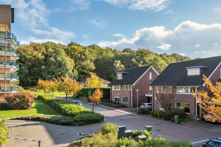 Foto 16 van Veldzuring 61