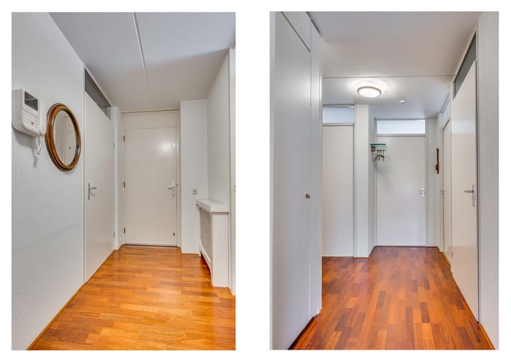 Foto 8 van Veldzuring 61