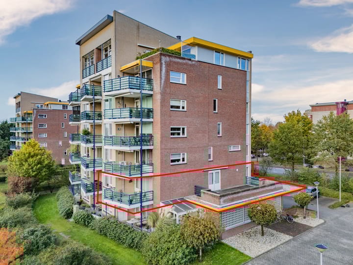 Foto 2 van Veldzuring 61