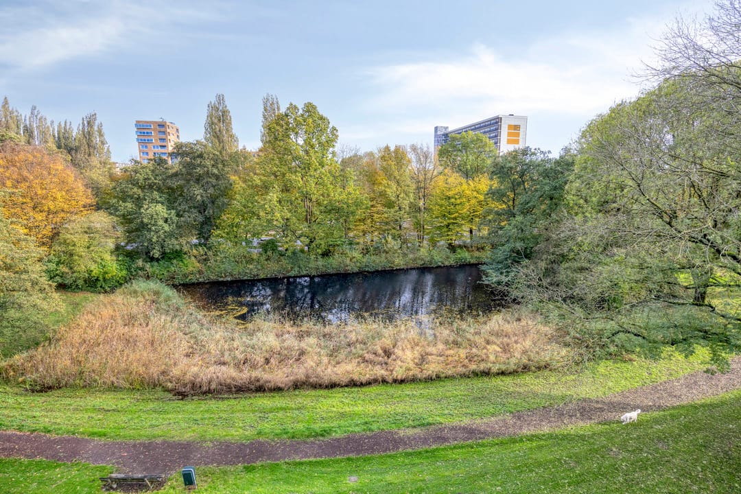 Foto 31 van Spurgeonlaan 120