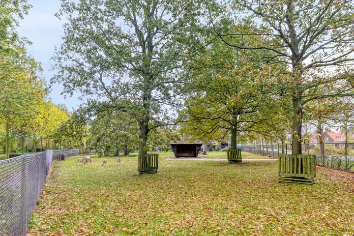 Photo 42 of Den Domp 3