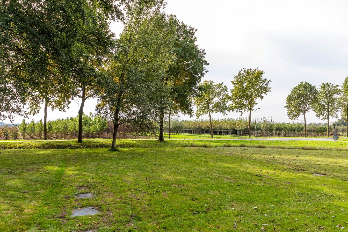 Photo 5 of De Zandvoort 5