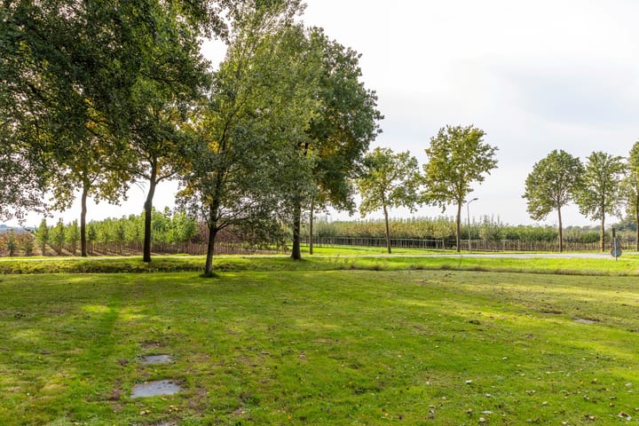 Foto 5 van De Zandvoort 5