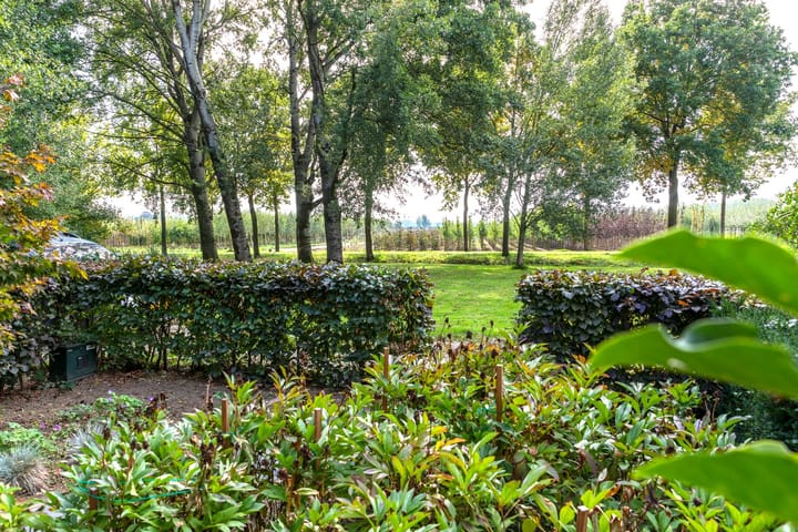 Foto 6 van De Zandvoort 5