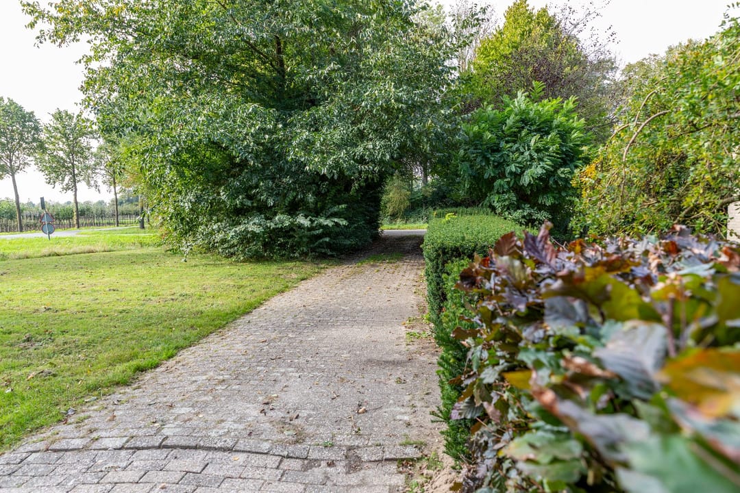 Photo 7 of De Zandvoort 5