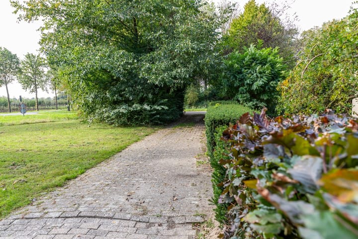 Foto 7 van De Zandvoort 5