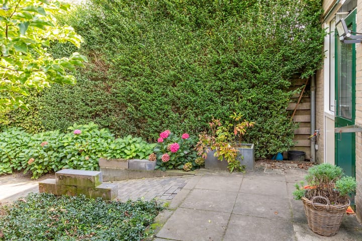 Foto 41 van De Zandvoort 5