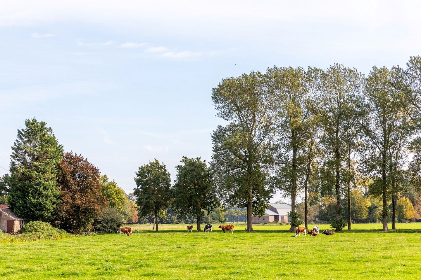 Photo 49 of De Zandvoort 5