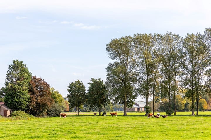 Foto 49 van De Zandvoort 5