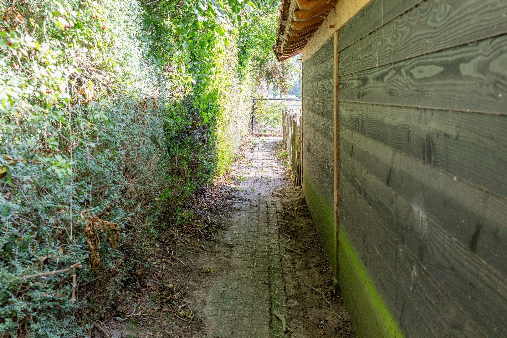 Photo 51 of De Zandvoort 5