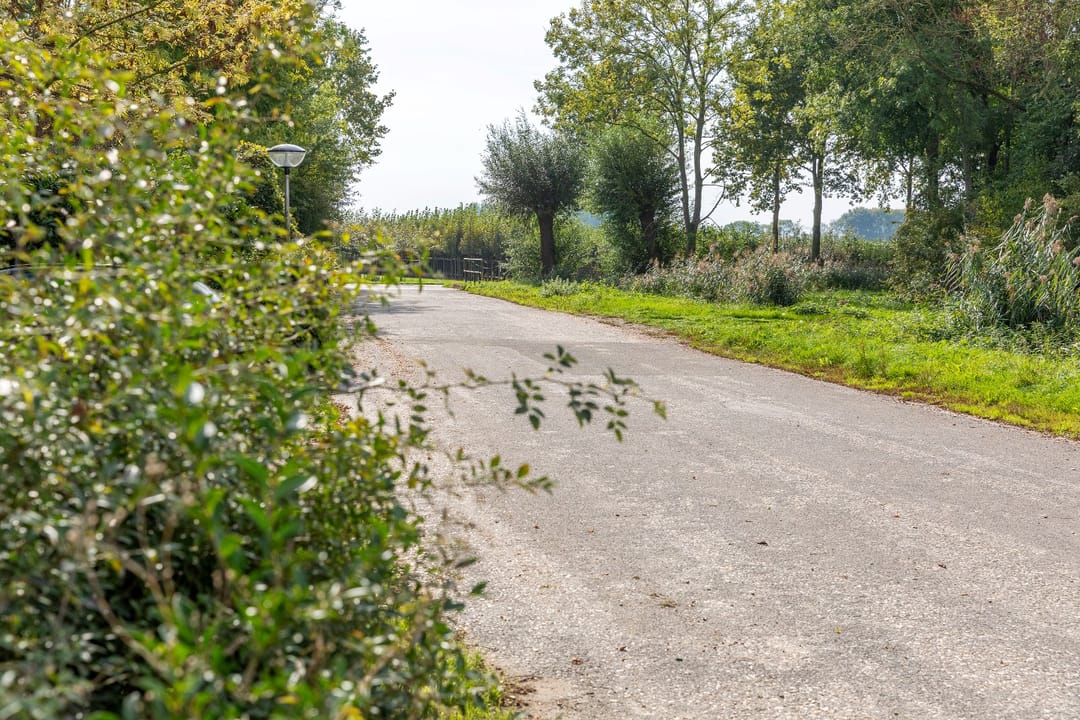 Photo 52 of De Zandvoort 5