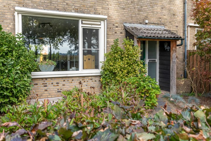 Foto 56 van De Zandvoort 5