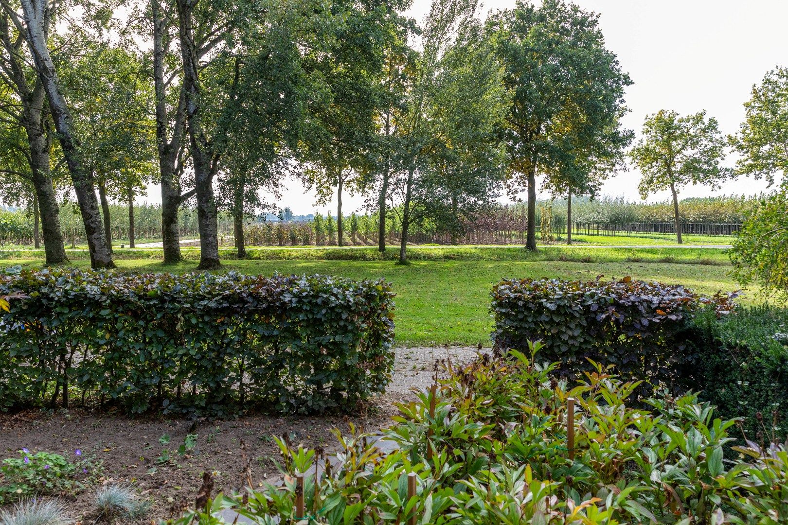 Photo 57 of De Zandvoort 5