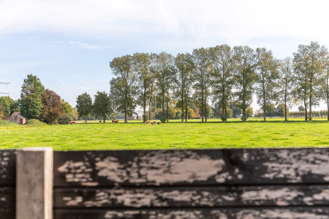 Photo 82 of De Zandvoort 5