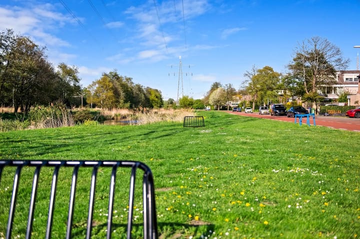 Photo 54 of Doornenburg 20